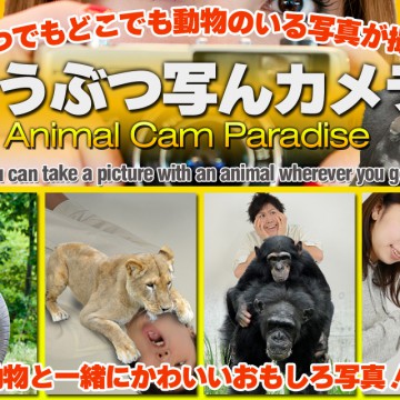 anicam_hp