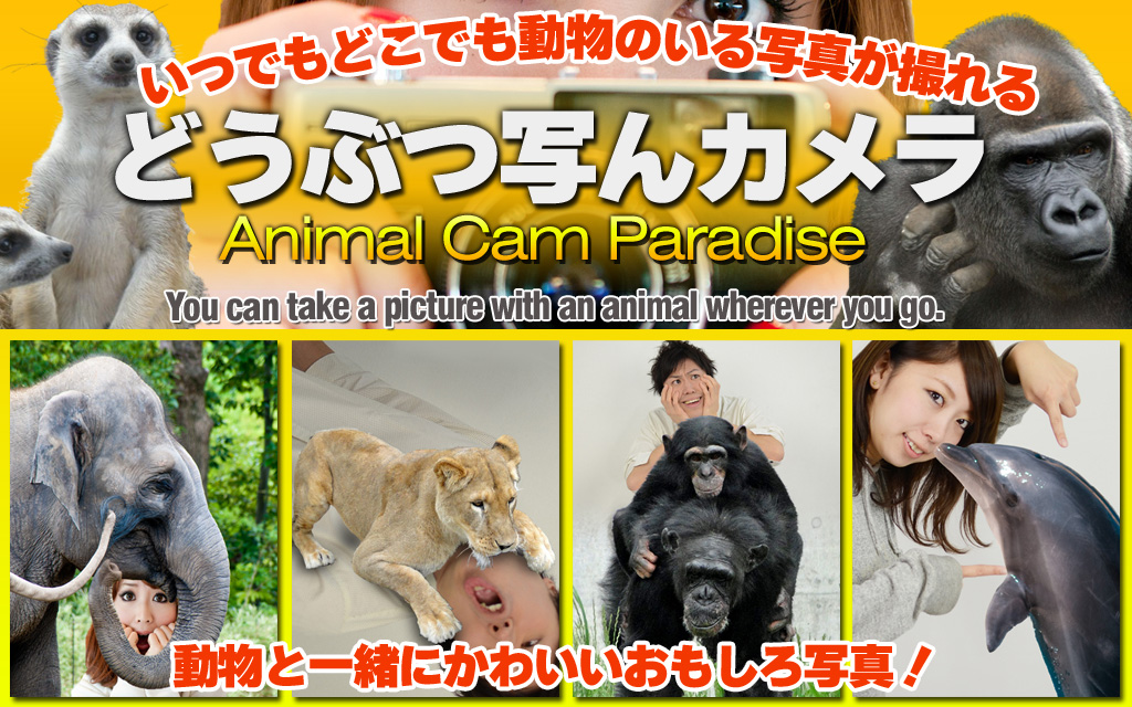 anicam_hp